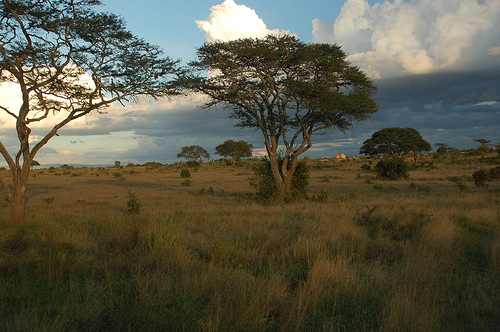Nairobi National Park